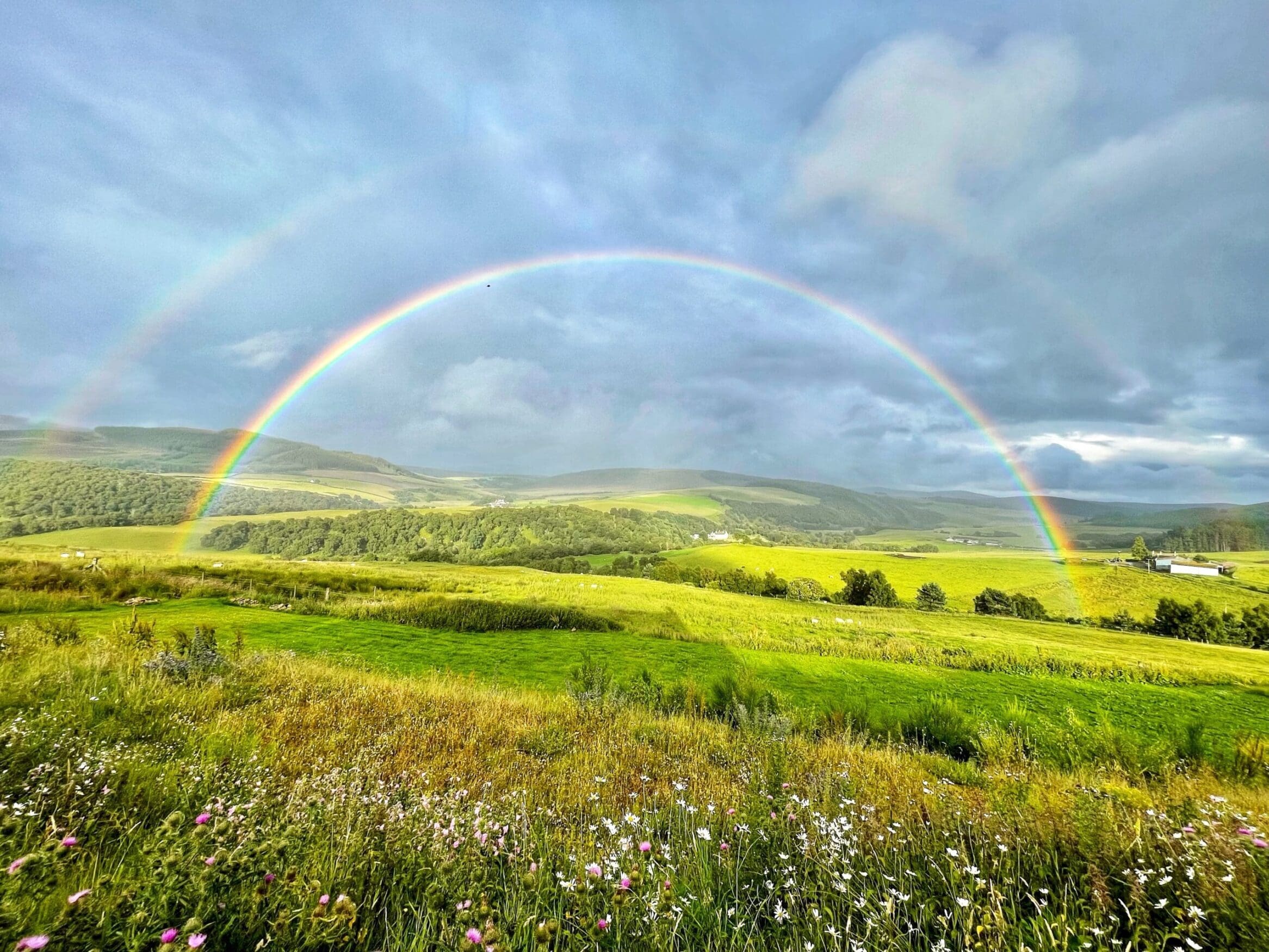 Nature rainbow jul 23 double rainbow over grassy fields